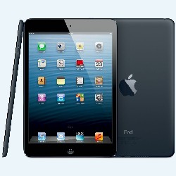    Apple iPad